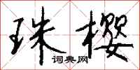 钱沛云珠樱行书怎么写
