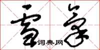 刘少英雪气草书怎么写