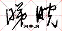 刘少英睇睨草书怎么写