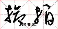 刘少英抢拍草书怎么写
