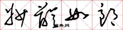 刘少英妙龄女郎草书怎么写