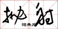 刘少英抛射草书怎么写