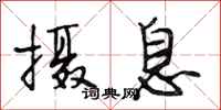 段相林摄息行书怎么写