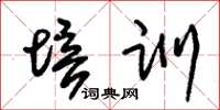 朱锡荣培训草书怎么写