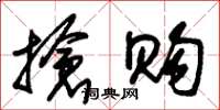 朱锡荣抢购草书怎么写
