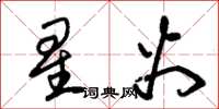 朱锡荣星火草书怎么写