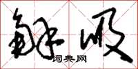 刘少英解吸草书怎么写