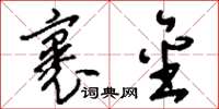 刘少英裹金草书怎么写
