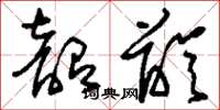 刘少英韶龄草书怎么写