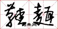 刘少英鞋面草书怎么写