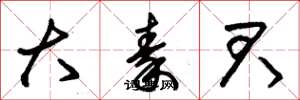 朱锡荣大秦君草书怎么写