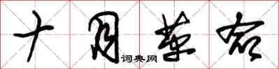 朱锡荣十月革命草书怎么写