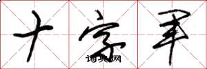 朱锡荣十字军草书怎么写
