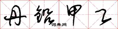 朱锡荣丹铅甲乙草书怎么写