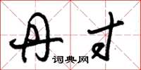 朱锡荣丹寸草书怎么写
