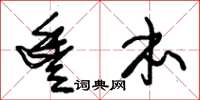 朱锡荣丰本草书怎么写