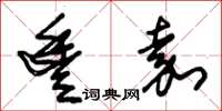朱锡荣丰嘉草书怎么写