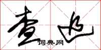 朱锡荣查追草书怎么写