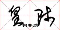 朱锡荣皇师草书怎么写