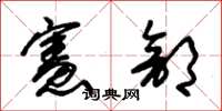 朱锡荣宪部草书怎么写