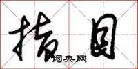 朱锡荣指目草书怎么写