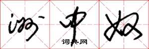 朱锡荣洲中奴草书怎么写