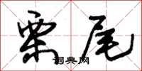 朱锡荣栗尾草书怎么写
