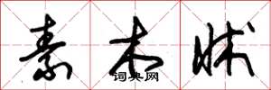 朱锡荣素木牀草书怎么写