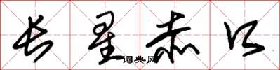 朱锡荣长星赤口草书怎么写