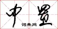 朱锡荣中置草书怎么写