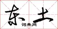 朱锡荣东土草书怎么写