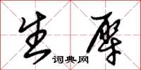朱锡荣生犀草书怎么写