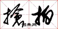 朱锡荣抢拍草书怎么写