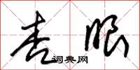 朱锡荣杏眼草书怎么写