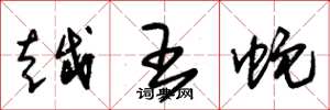 朱锡荣越王蛇草书怎么写