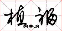 朱锡荣植福草书怎么写