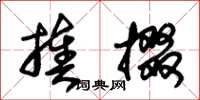 朱锡荣揍掇草书怎么写