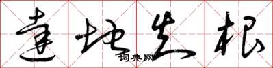 曾庆福达地知根草书怎么写