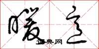 曾庆福暖意草书怎么写
