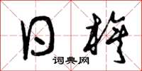 曾庆福日旗草书怎么写