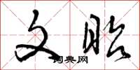 曾庆福文昭草书怎么写