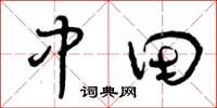 曾庆福中田草书怎么写
