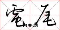 曾庆福电尾草书怎么写