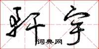 曾庆福轩宇草书怎么写