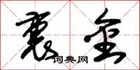 朱锡荣裹金草书怎么写