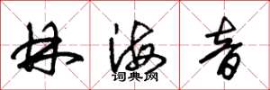 朱锡荣林海音草书怎么写