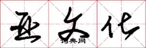 朱锡荣亚文化草书怎么写