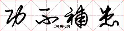 朱锡荣功不补患草书怎么写