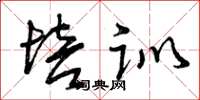 曾庆福培训草书怎么写
