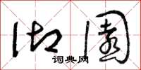 曾庆福御园草书怎么写